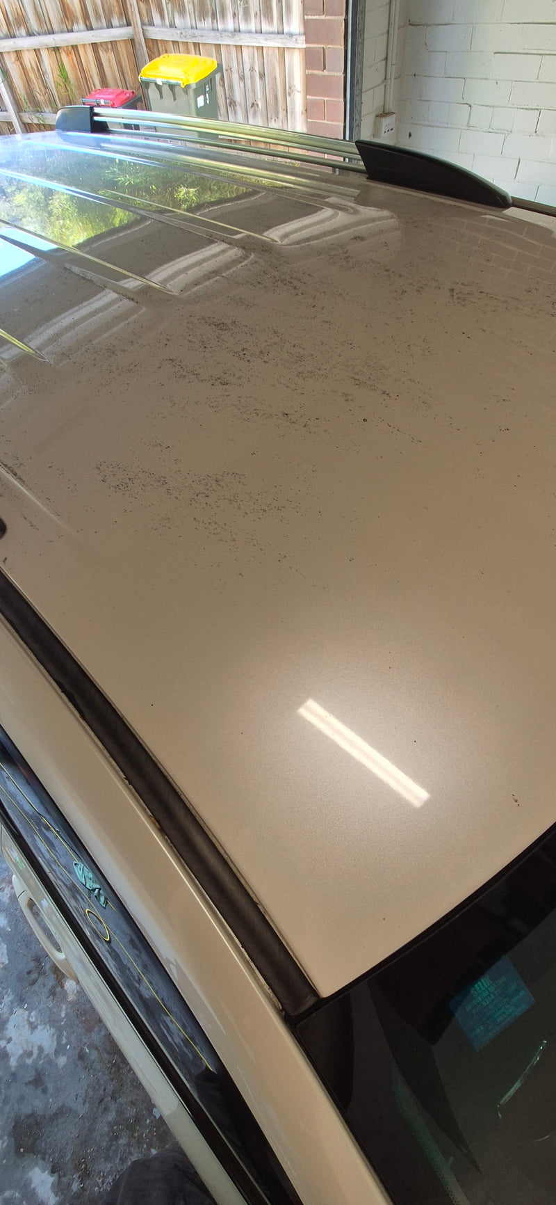 Optional • Spot Polish